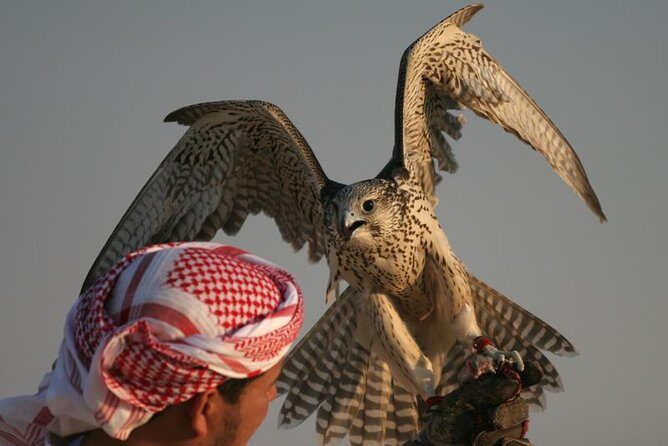 Evening Desert Safari with BBQ Dinner - The Highlights That Make This Tour Special