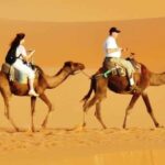 Evening Desert Safari with BBQ Dinner & 7 Live Show's - What Travelers Are Saying