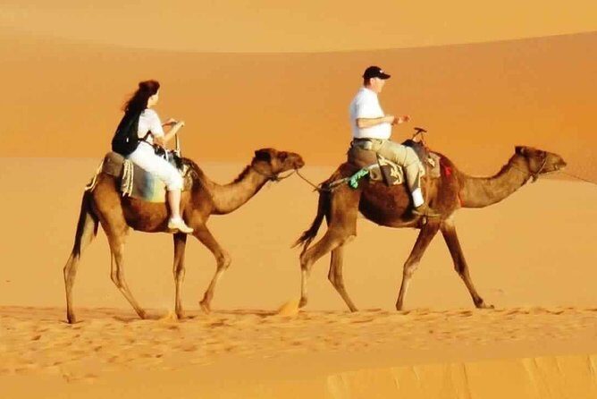 Evening Desert Safari with BBQ Dinner & 7 Live Show's - What Travelers Are Saying