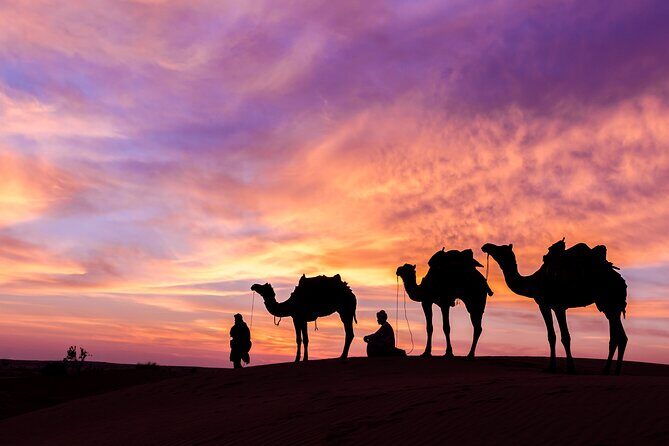 Evening Desert Safari with BBQ Dinner and Live Shows - Potential Drawbacks & Considerations