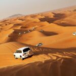 Evening Desert Safari with BBQ Dinner & self-drive Quad biking - Who Is This Tour Best For?