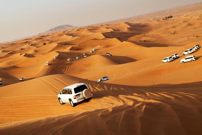 Evening Desert Safari with BBQ Dinner & self-drive Quad biking - Who Is This Tour Best For?