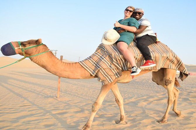 Evening Desert Safari with, Dune Bashing, Camel Ride, sand board - The Itinerary Breakdown: What Can You Expect?
