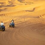 Evening Desert Safari with Quad Bike, BBQ Dinner and Camel Ride - Who Would Love This Experience?