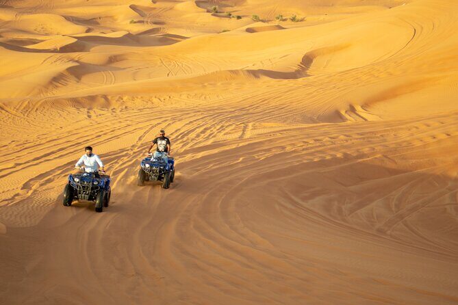 Evening Desert Safari with Quad Bike, BBQ Dinner and Camel Ride - Who Would Love This Experience?