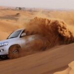 Evening Dubai Safari with BBQ, Dance Shows & Quad Biking optional - Who Will Love This Tour?