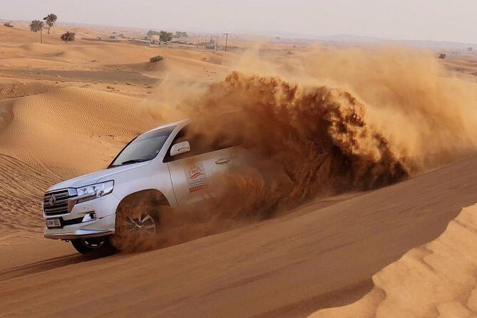 Evening Dubai Safari with BBQ, Dance Shows & Quad Biking optional - Who Will Love This Tour?