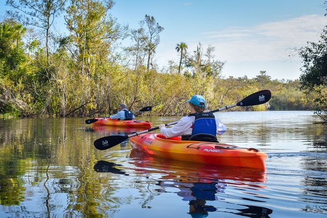 Everglades Guided Kayak Tour - Why You Should Book This Experience