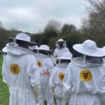 Évora or Montemor: Beekeeping Guided Tour with Honey Tasting - The Overall Experience: Value and Practicalities