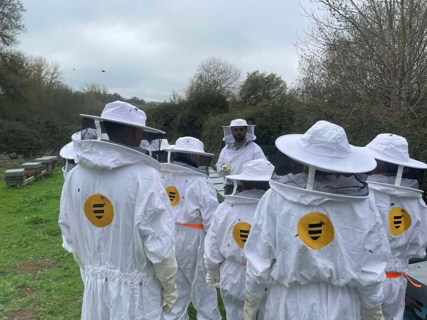 Évora or Montemor: Beekeeping Guided Tour with Honey Tasting - The Overall Experience: Value and Practicalities