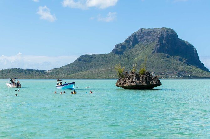 Exciting Dolphin encounters in the Maurtius's lagoon - Who Will Love This Tour?