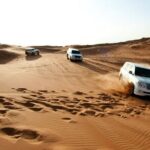 Exclusive Desert Safari with BBQ, Camel Ride & Traditional Show - What Travelers Should Consider