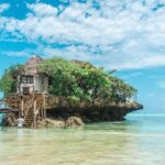Exclusive Full-Day Zanzibar Adventure: Jozani Forest, Hidden Gems - Authentic Experiences & Hidden Details