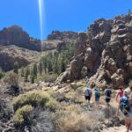 Exclusive hike on Mount Teide with a certified guide - An In-Depth Look at the Mount Teide Guided Hike
