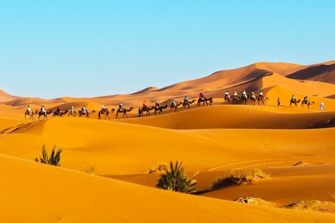 Exclusive Merzouga Desert Safari: Camel Ride, Sandsurf & Dinner - Who Should Consider This Tour?