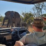 Exclusive Morning Game Drive Safari near Hoedspruit - Who Is This Tour Best For?