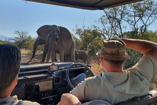 Exclusive Morning Game Drive Safari near Hoedspruit - Who Is This Tour Best For?