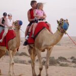 Exclusive Private Morning Desert Safari Adventure in Dubai - Authentic Guest Insights