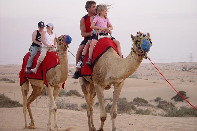 Exclusive Private Morning Desert Safari Adventure in Dubai - Authentic Guest Insights
