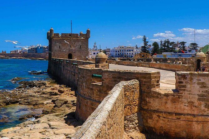 Excursion Essaouira from Marrakech - Final Thoughts: Is This Tour Right for You?