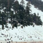 Excursion From Fez to the Middle Atlas Mountains - The Practicalities: What You Should Know
