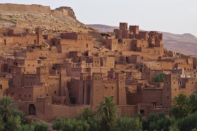 Excursion from Marrakech to Zagora - What Travelers Say: Authentic Feedback