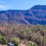 Excursion The Valley of Paradise - Pricing & Value