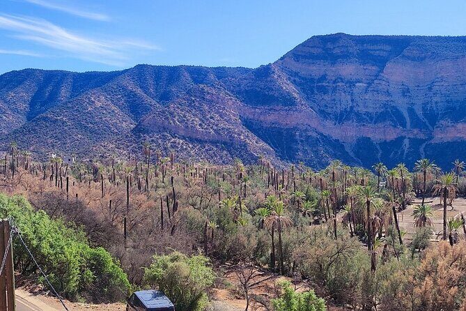 Excursion The Valley of Paradise - Pricing & Value