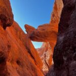 Excursion to Gorge Dades and Canyon Fingers of Monkey Morocco - Authentic Encounters & Guides