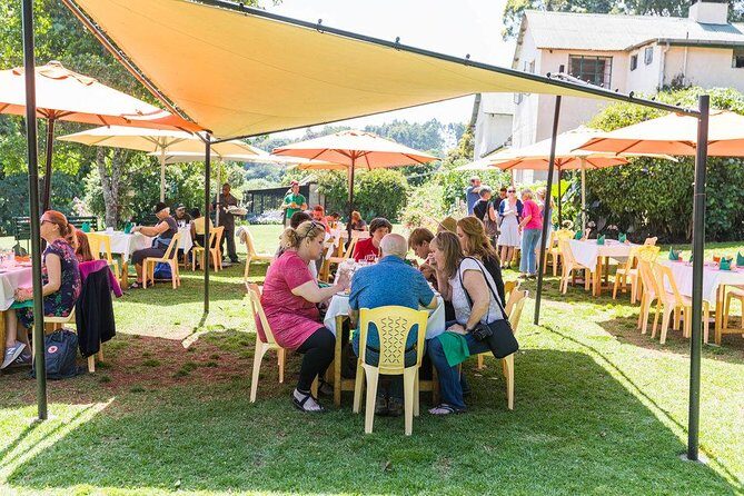 Excursion to Kiambethu Tea Farm - Room for Improvement?