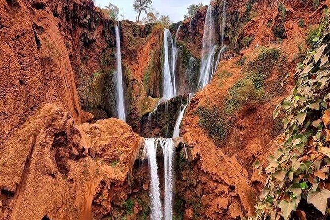 Excursion to Ouzoud Waterfall with Transfer - What Travelers Say