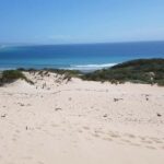 Excursion to Tarifa, Baelo Claudia, Bolonia, and Vejer de la Frontera with a tour guide - FAQ