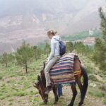 Excursion to The Atlas Mountain from Marrakech - Berber Villages, Waterfalls, and Local Life