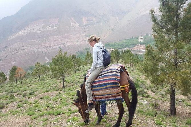 Excursion to The Atlas Mountain from Marrakech - Berber Villages, Waterfalls, and Local Life