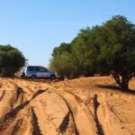 Excursion to the little Sahara, visit Tiznit, Tifnit, & Massa. - What the Reviews Say