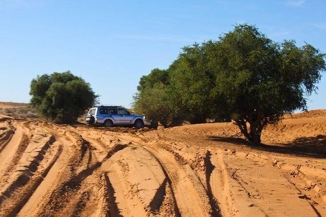 Excursion to the little Sahara, visit Tiznit, Tifnit, & Massa. - What the Reviews Say