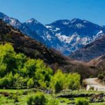 Excursion to the Ourika Valley and Berber villages - Cost and Value