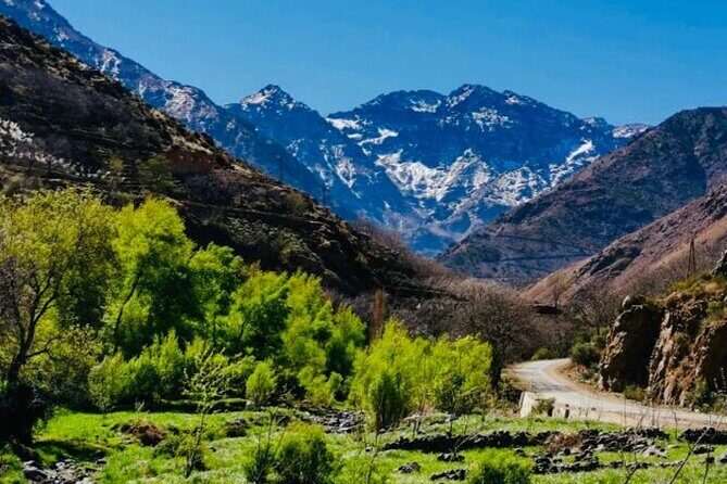 Excursion to the Ourika Valley and Berber villages - Cost and Value