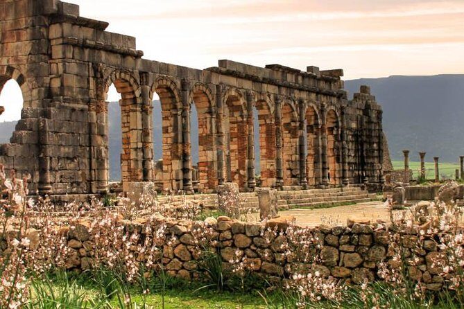 Excursions Volubilis - Moulay Idriss - Meknès (departure Fès) - Why Choose This Tour?