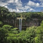 Exotic South: Journey into the Nature (Full-Day Tour incl Lunch & Ebony Forest) - What Travelers Say: Authentic Perspectives