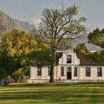 Experience 16 Wine Tasting & 6 Cheese Pairing across 3 Vineyards - Why This Tour Offers Good Value