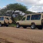 Experience A Taste of Local Life in Luxury Safari - What You’ll Love About This Luxury Safari
