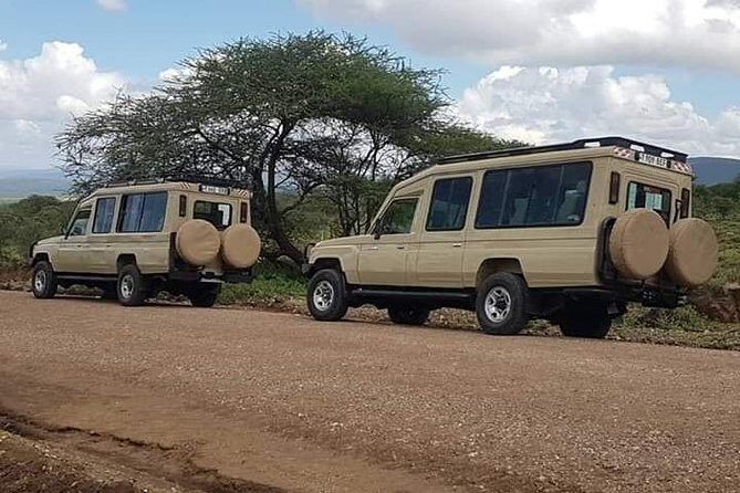 Experience A Taste of Local Life in Luxury Safari - What You’ll Love About This Luxury Safari