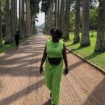 Experience Boti Waterfalls, Aburi Botanical Gardens & Tetteh Quarshie Cocoa Farm - Who Should Book This Tour?