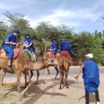 Experience Camel Ride Sunset or Anytime - Practical Details and Tips