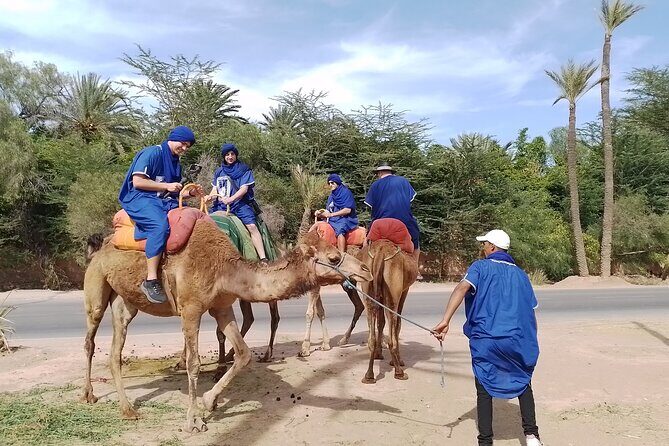 Experience Camel Ride Sunset or Anytime - Practical Details and Tips