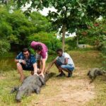 Experience Cape Coast Castle and Kakum National Park - Authentic Experiences and Insights From Travelers