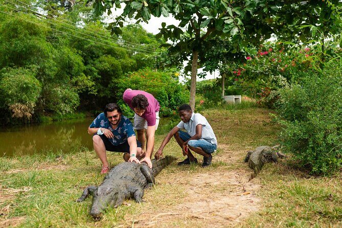 Experience Cape Coast Castle and Kakum National Park - Authentic Experiences and Insights From Travelers