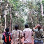Experience Chimpanzee Trekking in Budongo Forest - Who Will Love This Tour?
