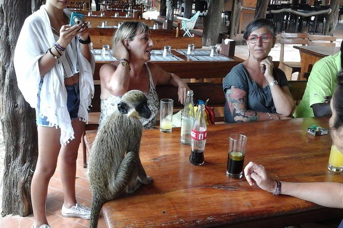 Experience Dakar-Goree-Pink Lake-Safari tour in 2 days - Detailed Breakdown of the Itinerary